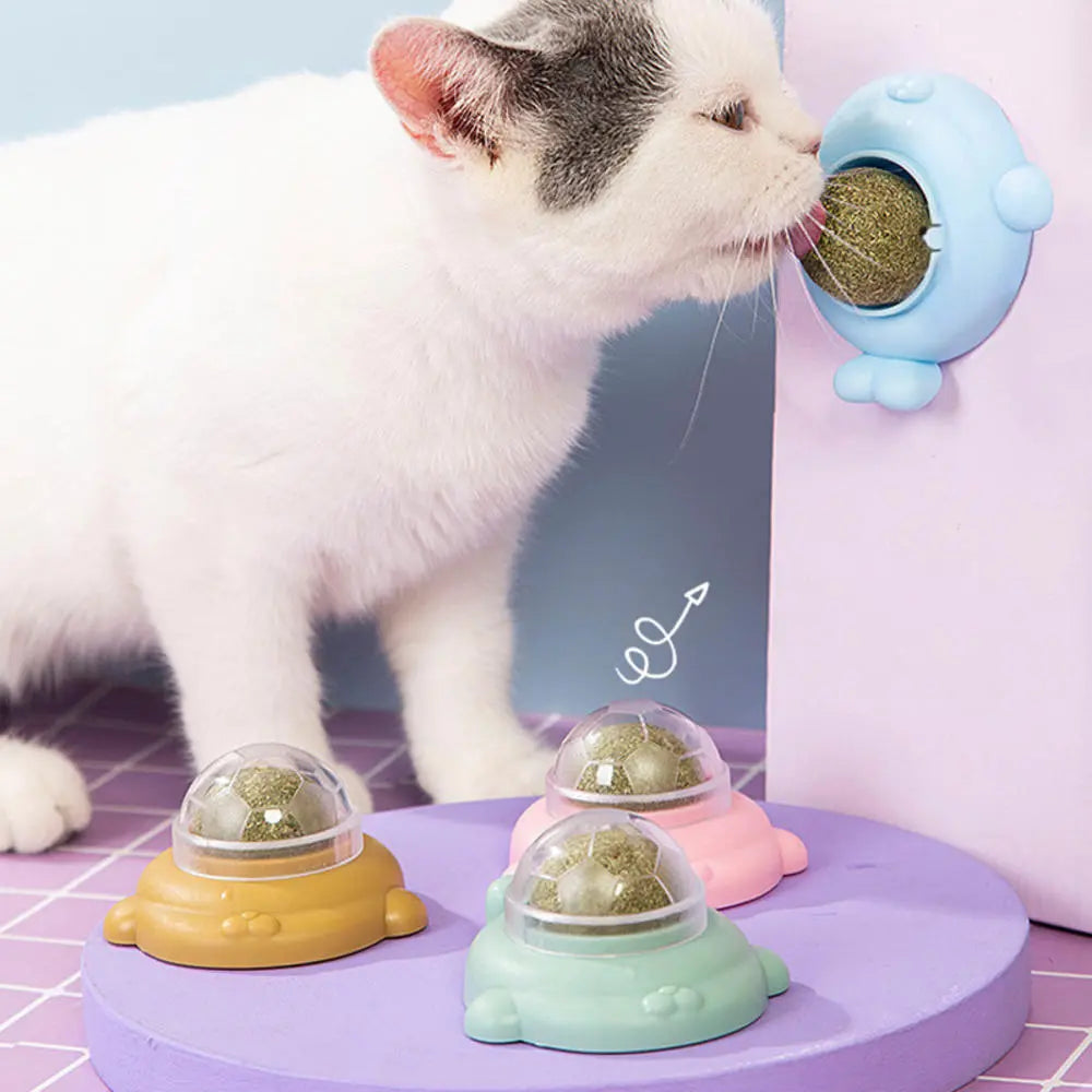 Catnip Wall Ball: Healthy Nutrition, Teeth Cleaning Cat Toy