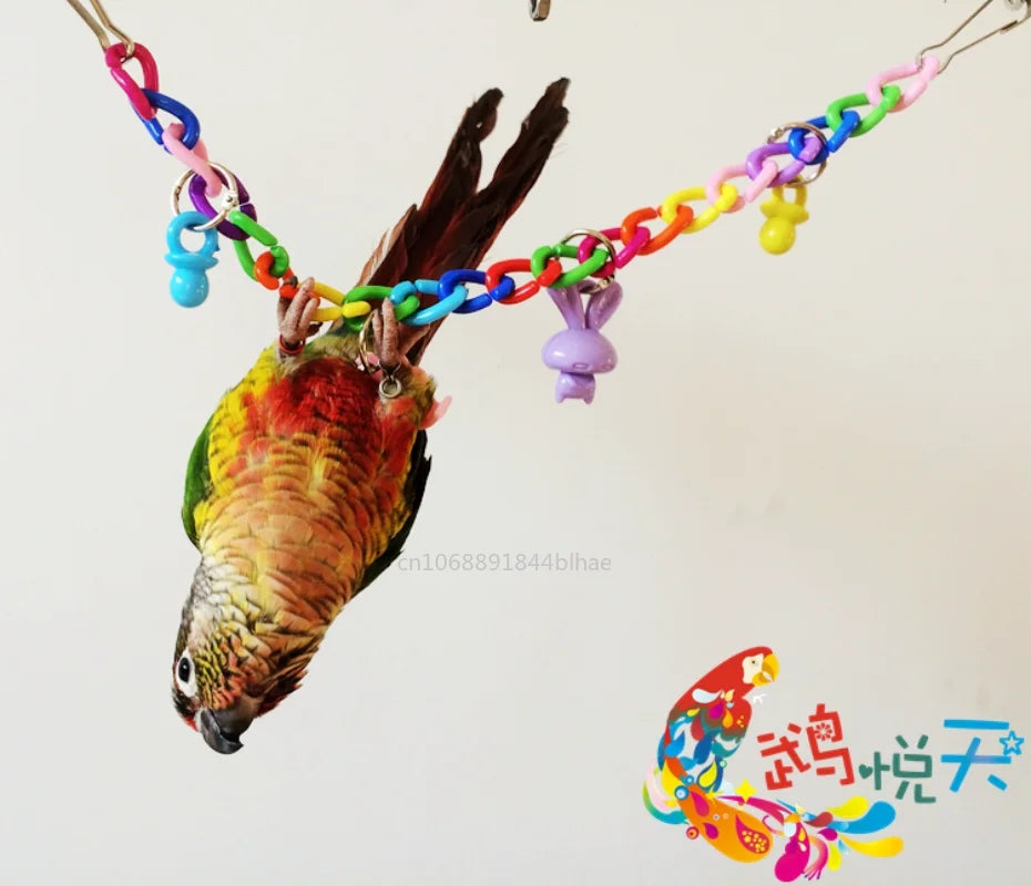 Colorful Parrot Toys: Hanging Swing Chain Exercise Accessories