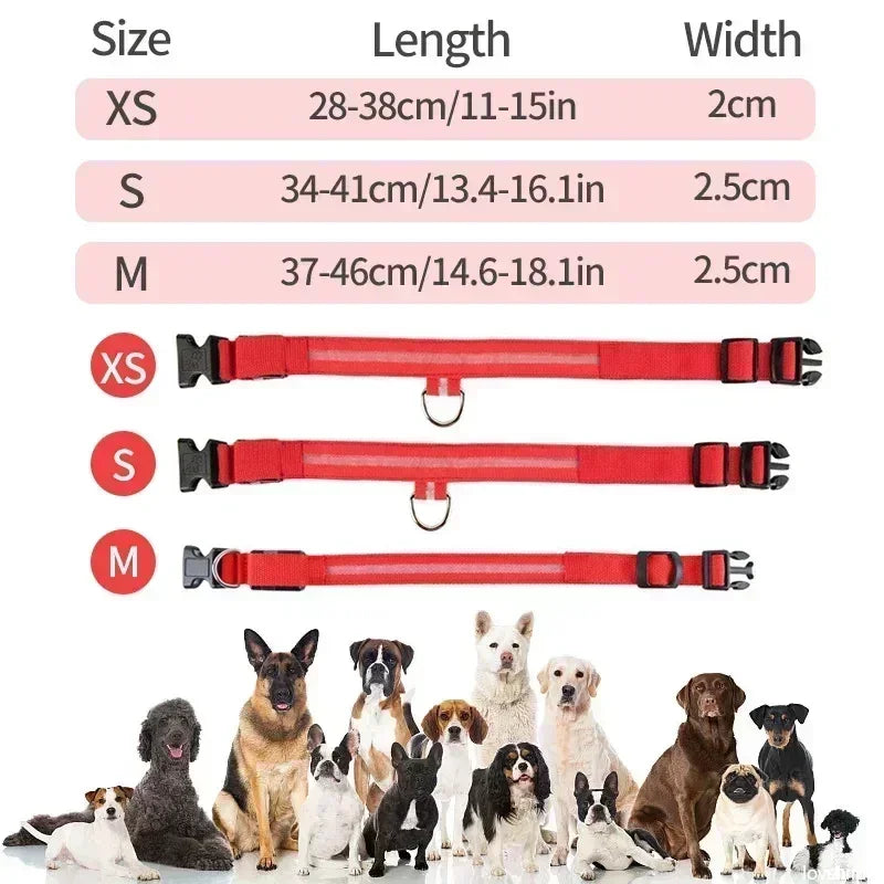 LED Pet Collar: Safety glowing collar for pets.