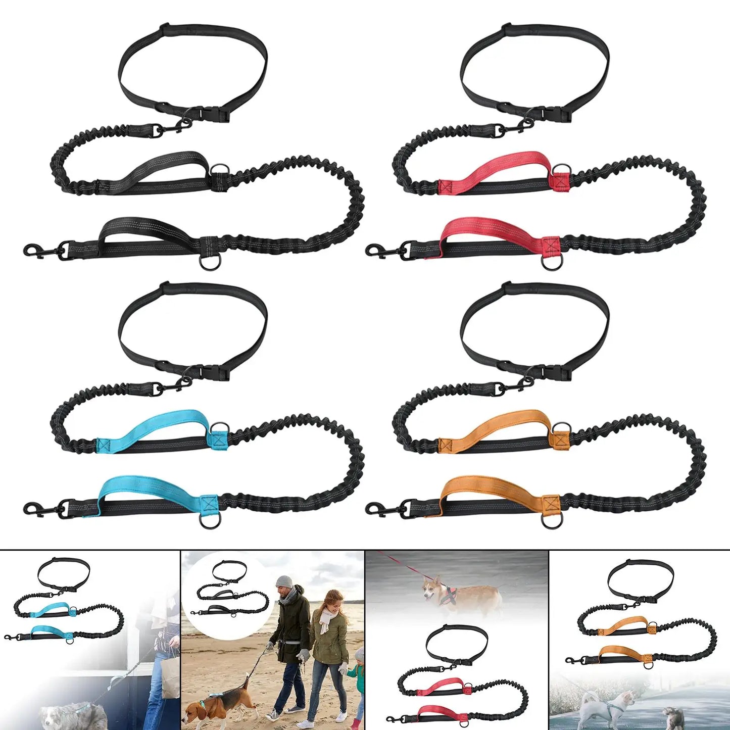 Reflective Dog Leash: Ensure Visibility During Walks!