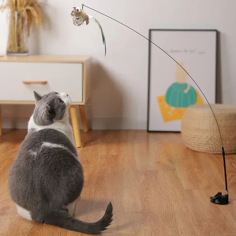 Feather cat teaser: Stimulating play for kittens, interactive wand toy.