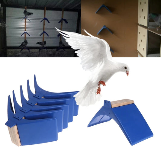 Bird Equipment: Supplies for bird care and maintenance.