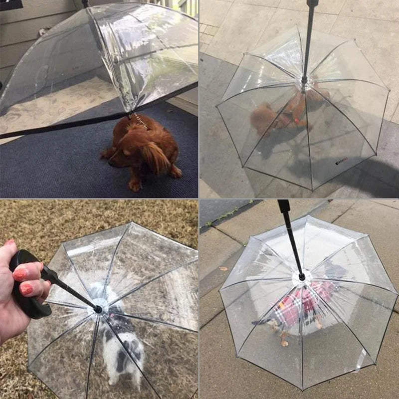 Transparent pet umbrella leash: Keep pets dry during walks.