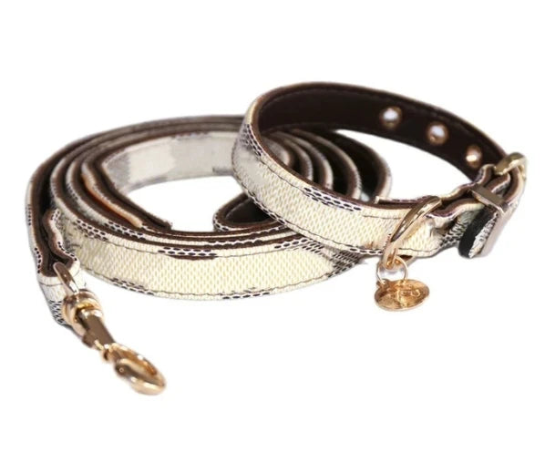 Dog Collar Leash: Fashionable Accessories for Stylish Pets.