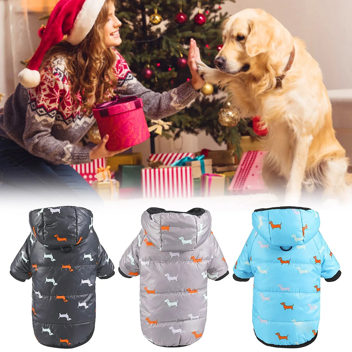 Large Dog Dress: Fashionable Clothing for Your Pet!