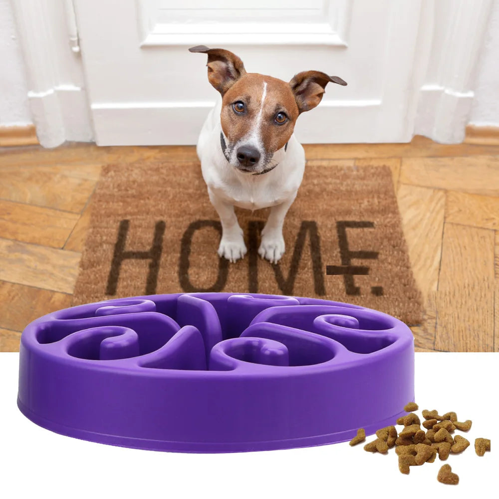 Slow Food Feeder Bowl: for Cats and Dogs