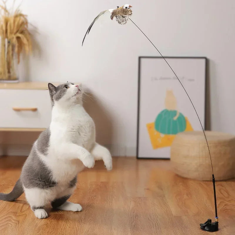 Feather cat teaser: Stimulating play for kittens, interactive wand toy.