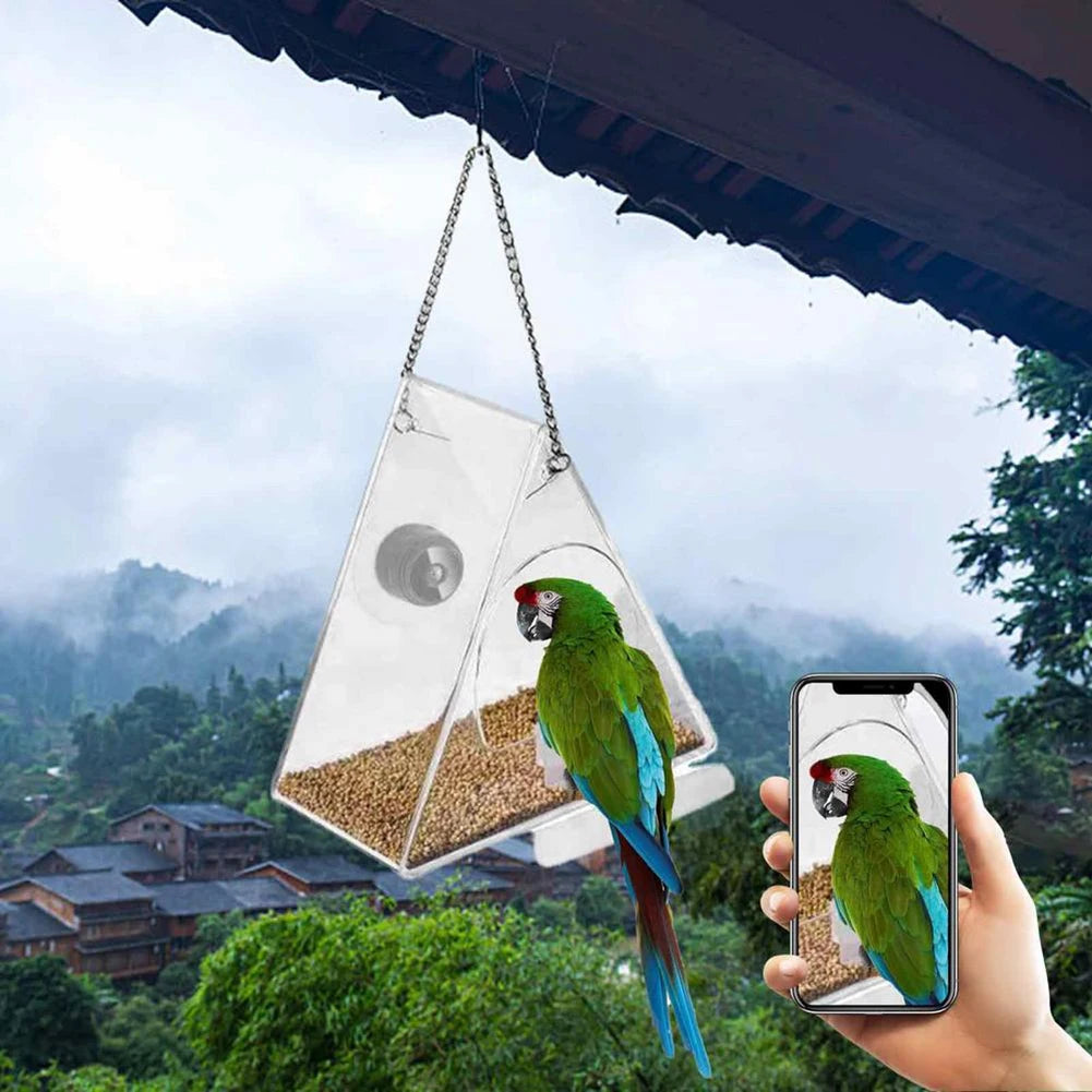 Smart bird feeder: WIFI camera, USB rechargeable, real-time viewing.