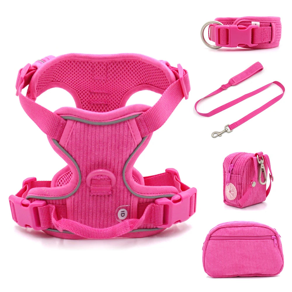 Trendy dog harness: Designer leash for stylish walks.