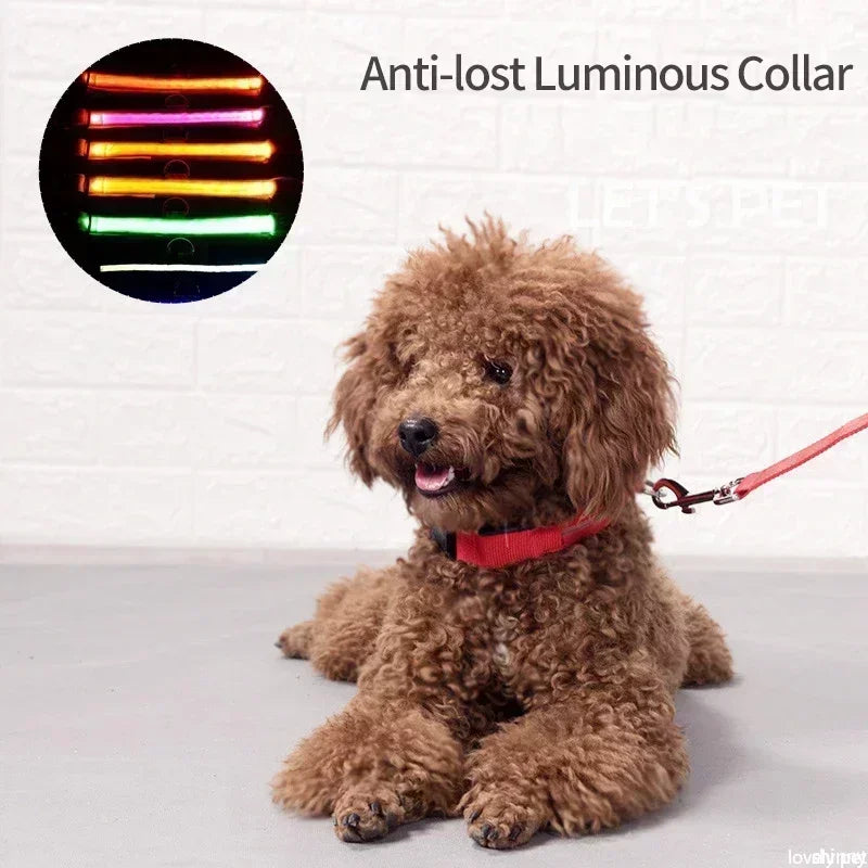 LED Pet Collar: Safety glowing collar for pets.