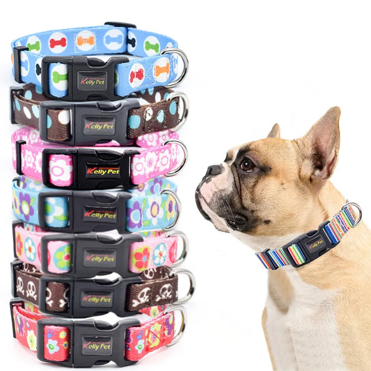 Dog Collar: Safety snap adjustable pet collar for dogs.