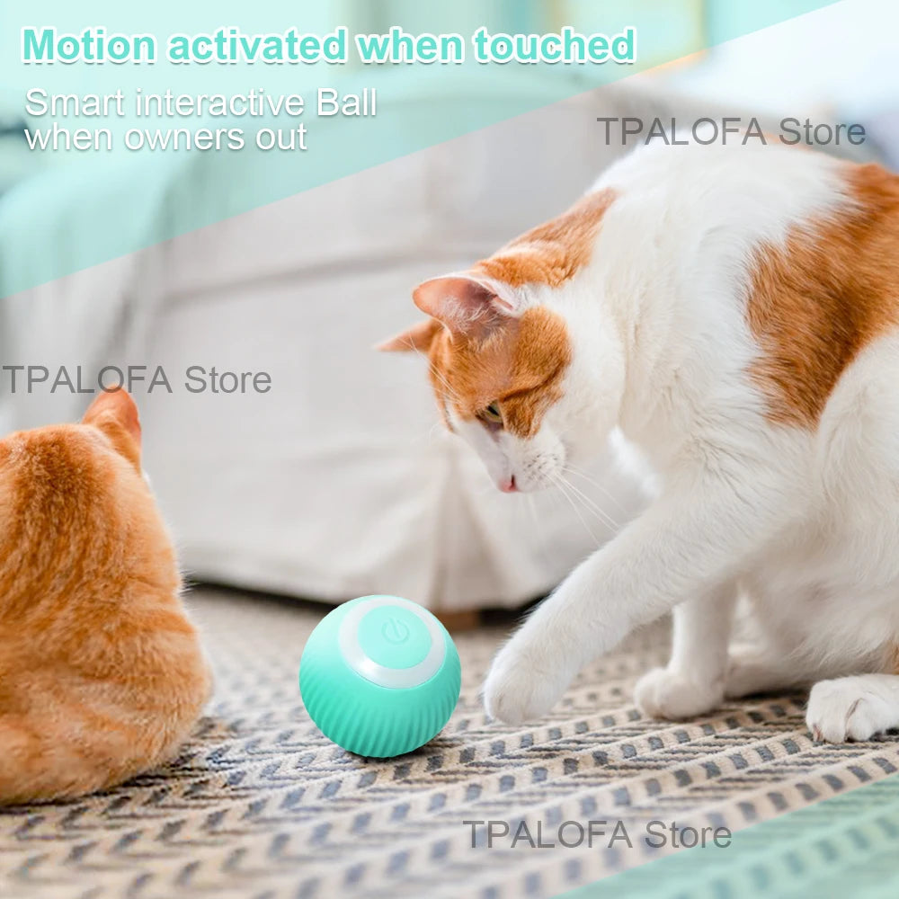 Electric cat ball toy: Autonomous rolling, indoor play for felines.