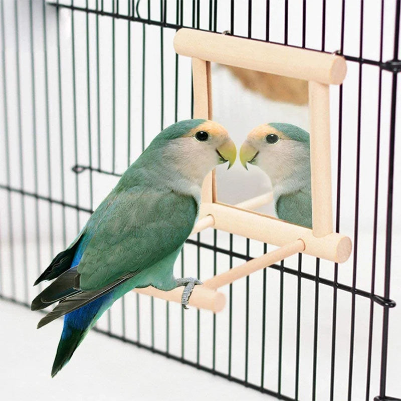 Bird Toy: Keep Your Bird Entertained and Active!