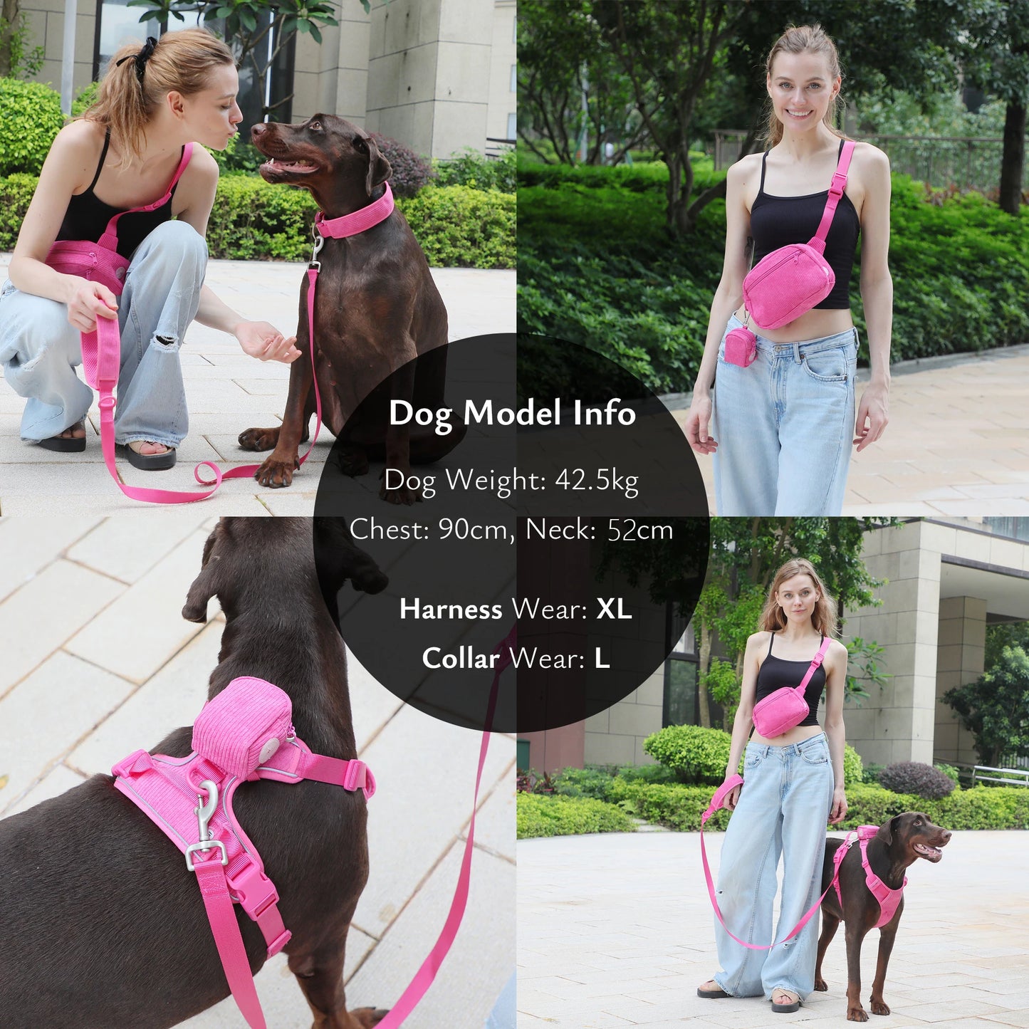 Trendy dog harness: Designer leash for stylish walks.