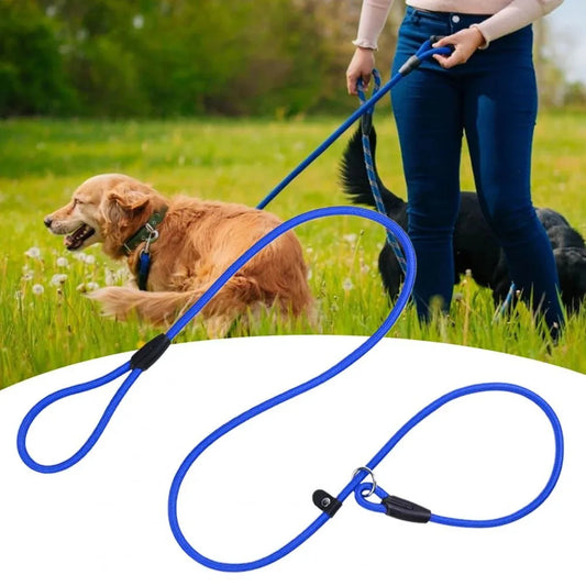 Chains Collar Leads: Pet Training Leash for Small Dogs, Traction Rope