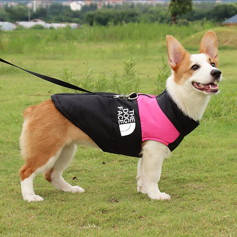 Waterproof Warm Dog Clothes: Winter vest for dogs.