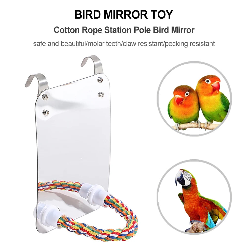 Parrot Toy with Mirror: Acrylic Bird Entertainment