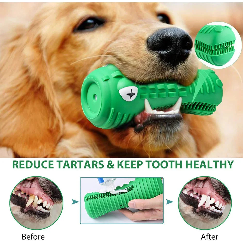 Indestructible Squeaky Toys: For aggressive chewers, teeth cleaning.