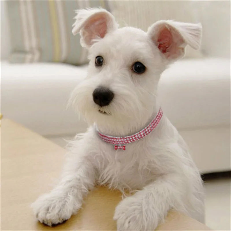 Rhinestone Dog Collar: Add Glamour to Your Pet's Look!