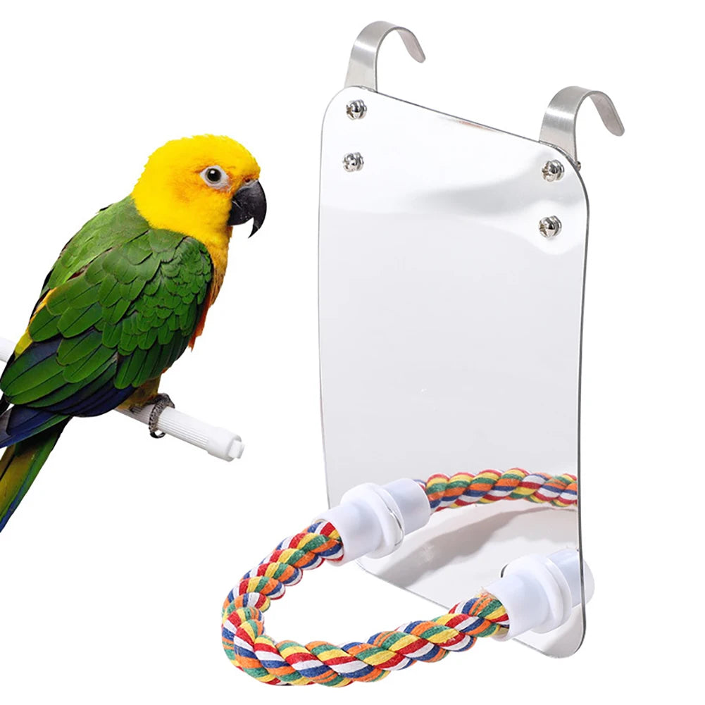 Parrot Toy with Mirror: Acrylic Bird Entertainment