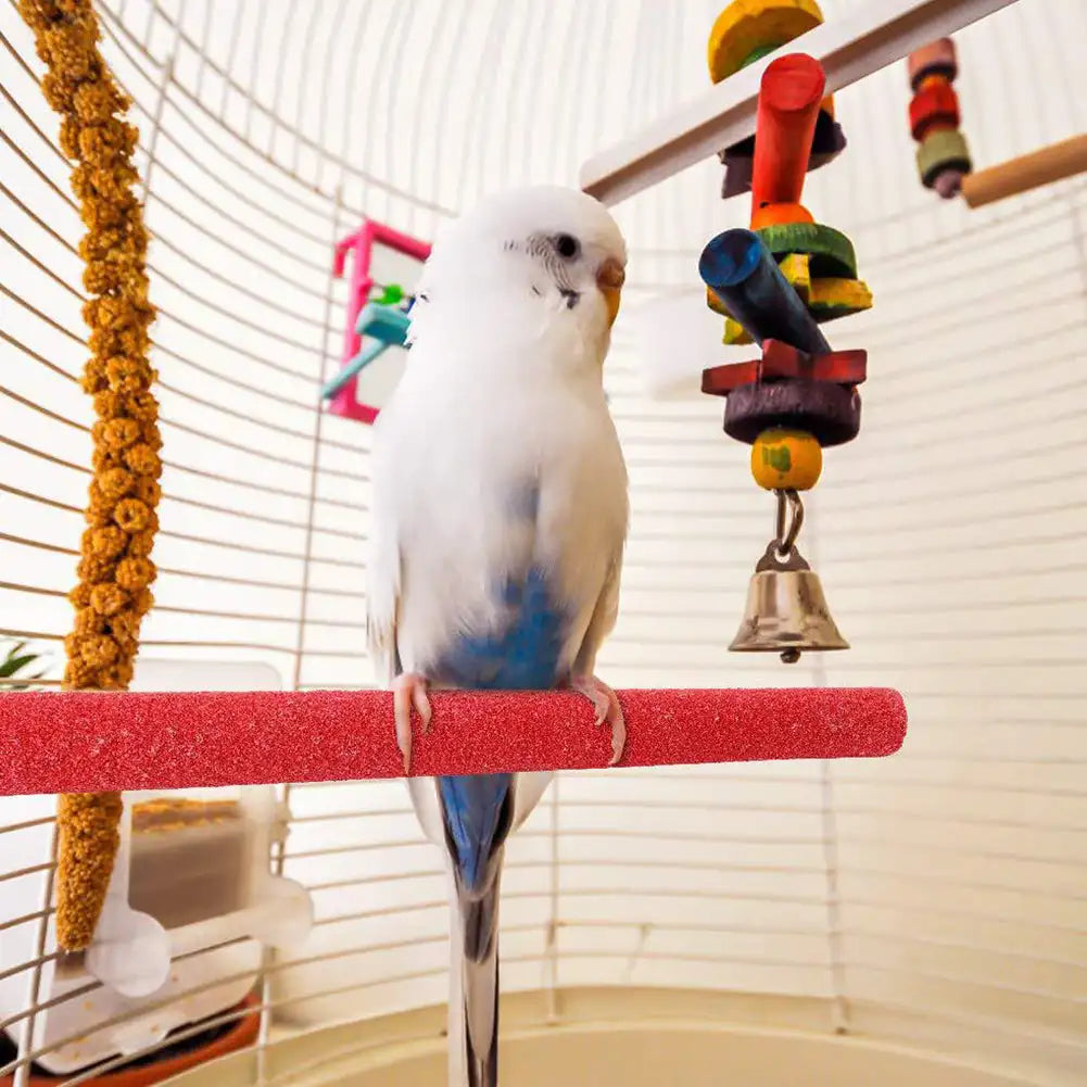 Parrot Grinding Stand: Maintain Your Bird's Beak Health!