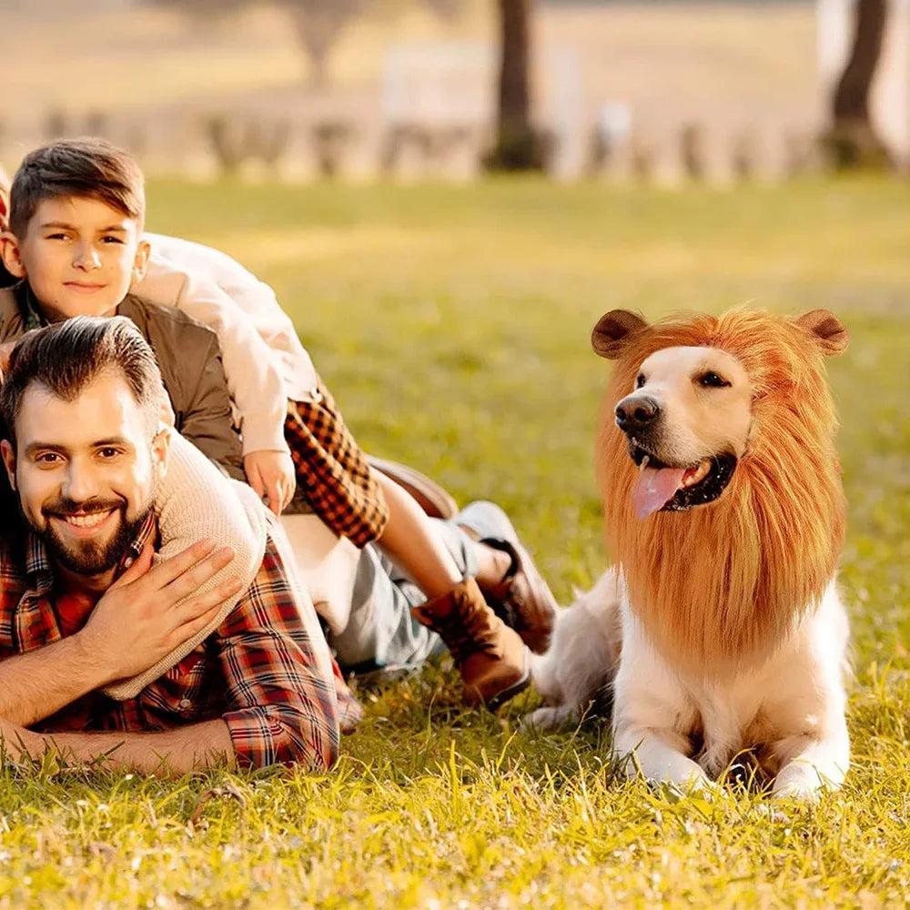 Lion Wig for Dog 