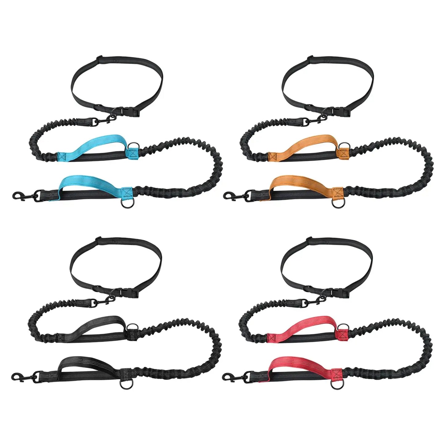 Reflective Dog Leash: Ensure Visibility During Walks!