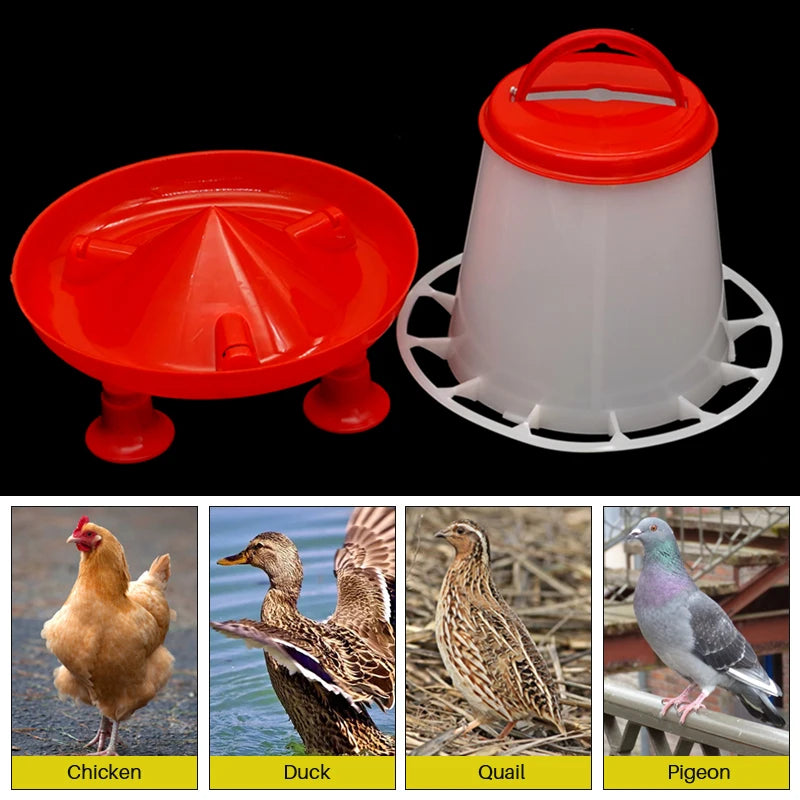 Chicken and Duck Feeder 