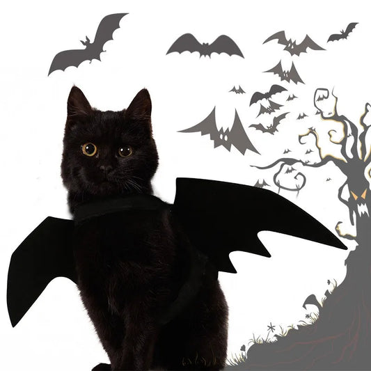 Pet Bat Wing Costume: Halloween cosplay costume for pets.