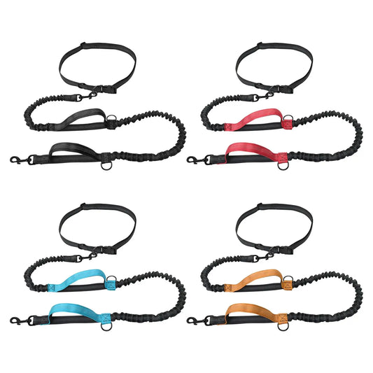 Reflective Dog Leash: Ensure Visibility During Walks!