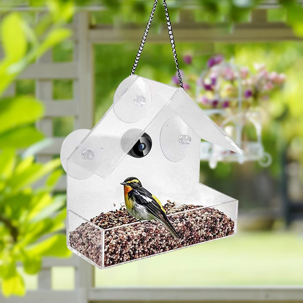 Smart bird feeder: WIFI camera, USB rechargeable, real-time viewing.