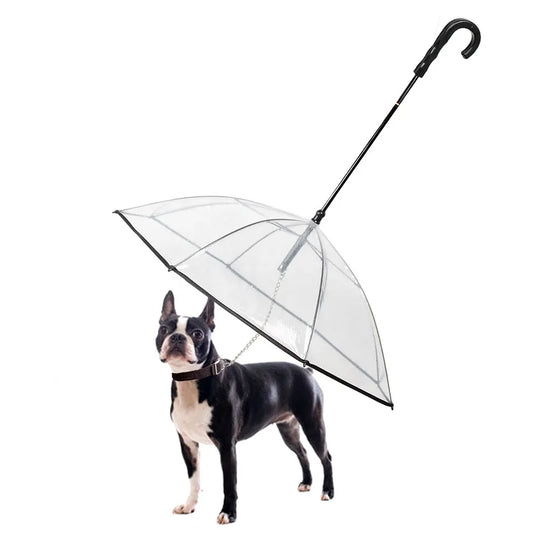 Transparent pet umbrella leash: Keep pets dry during walks.