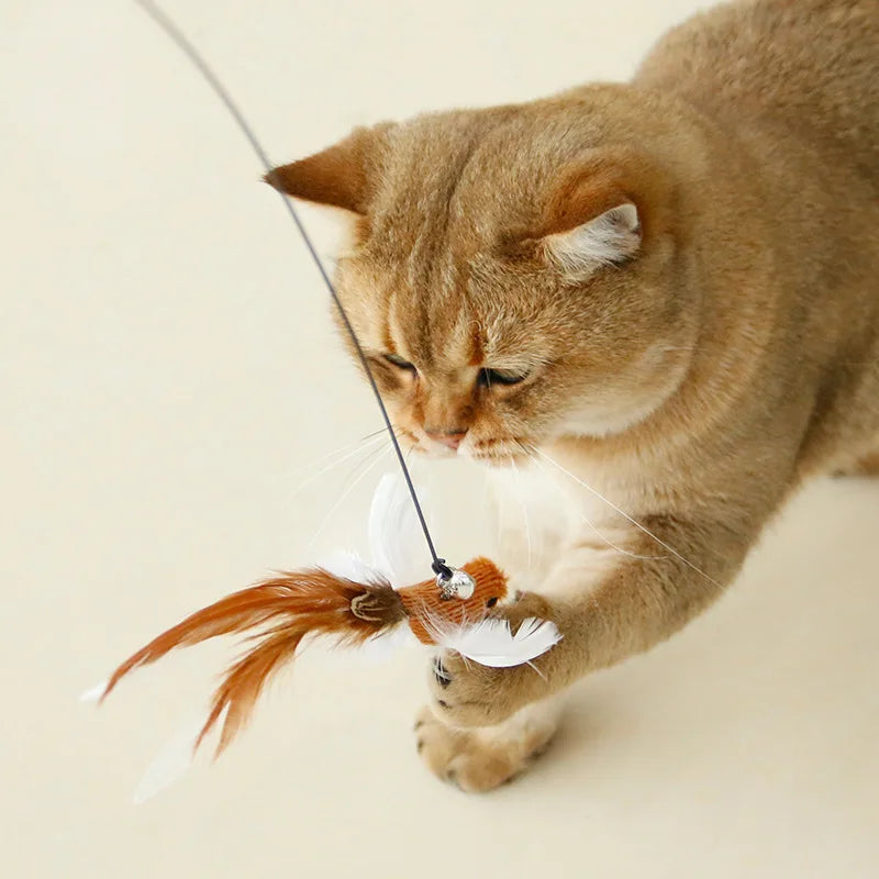 Feather Cat Wand Toy: Interactive toy for cats with bell.