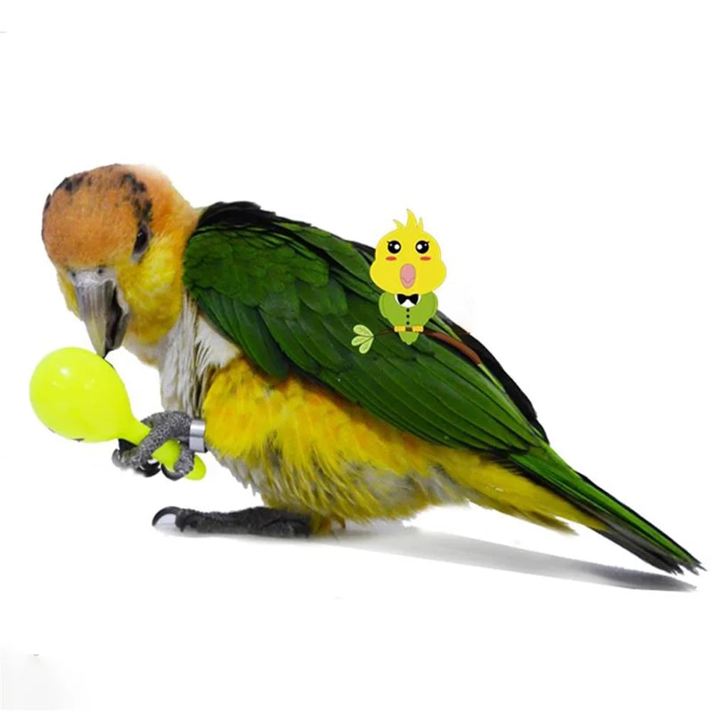 Parrot Interactive Toys: Stimulate Your Bird's Mind!