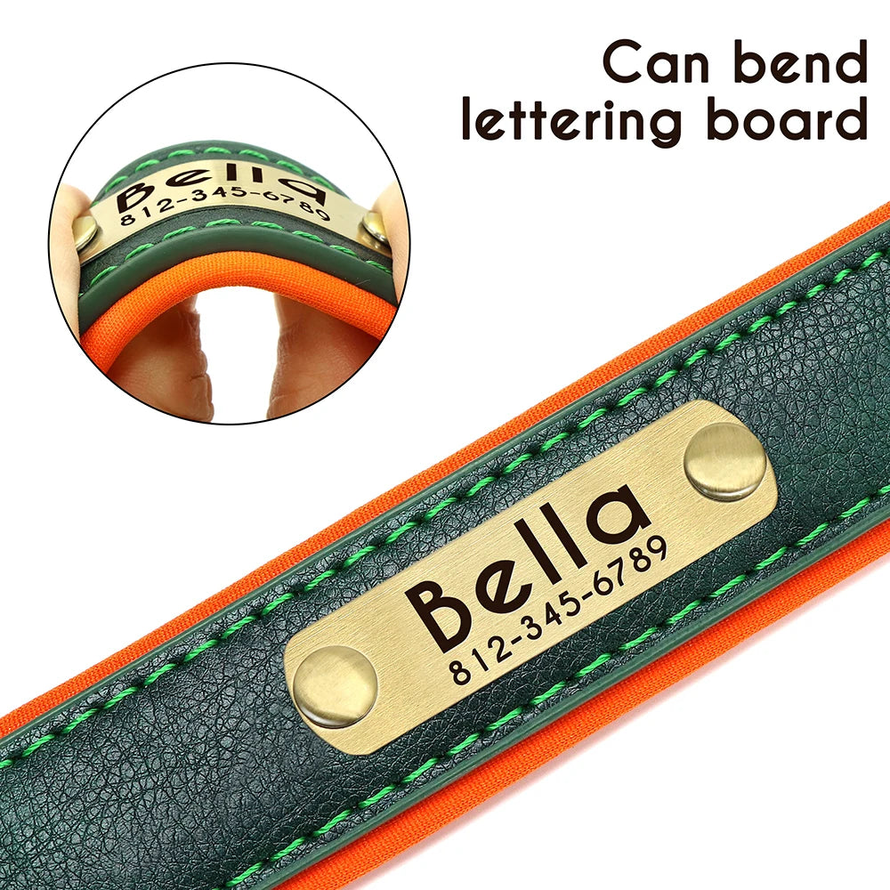 Custom Pet Collar: Personalized, stylish, for dogs and cats.