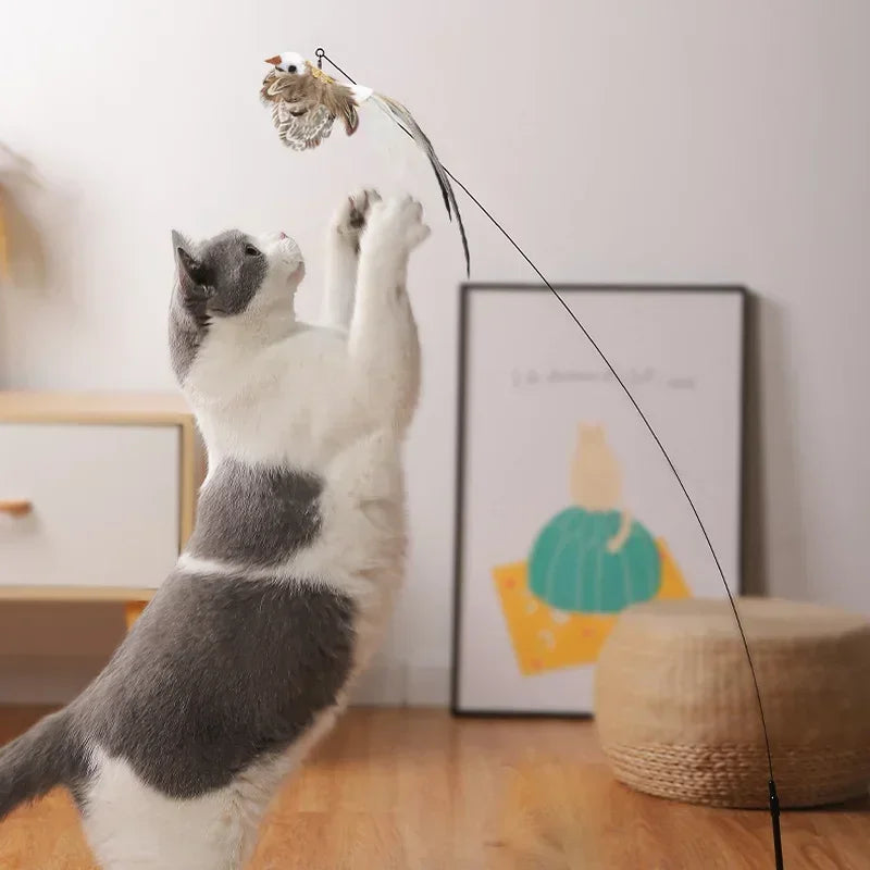 Feather cat teaser: Stimulating play for kittens, interactive wand toy.