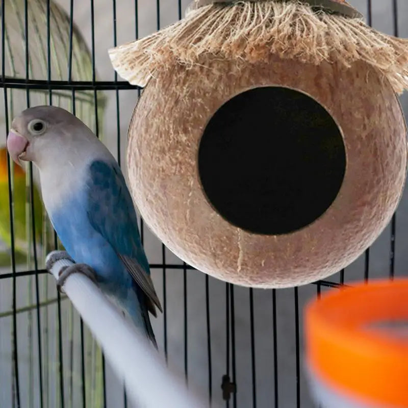 Parakeet Nest: Cute Birds Habitat, Small Animals House Decor