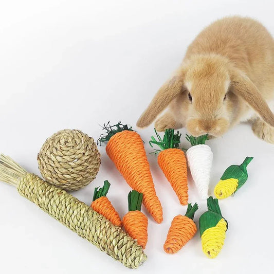 Chew Toy Set: Teeth-cleaning toys for small pets.