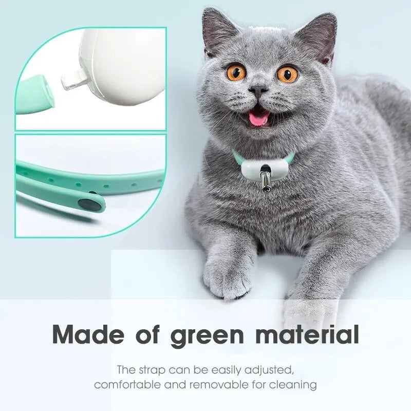 Laser tease cat collar: USB charging, automatic entertainment for kittens.