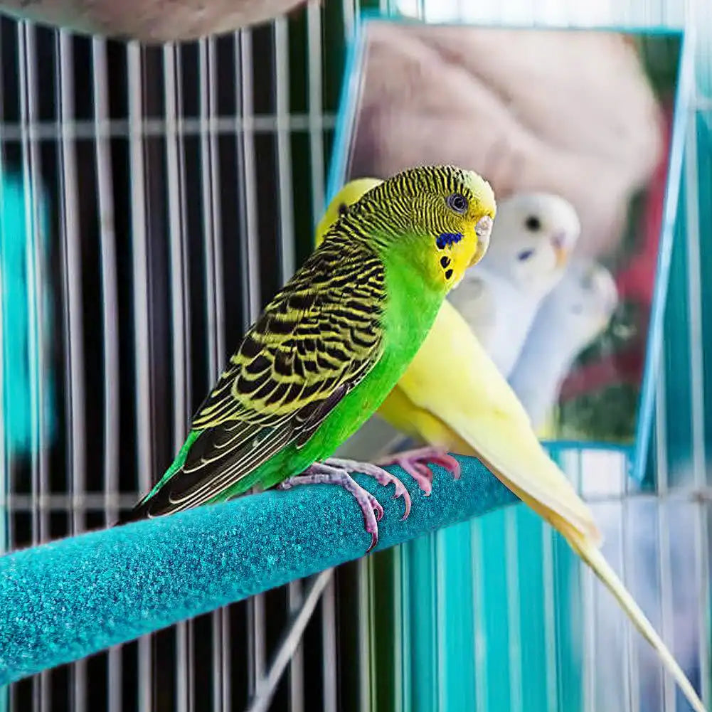 Parrot Grinding Stand: Maintain Your Bird's Beak Health!