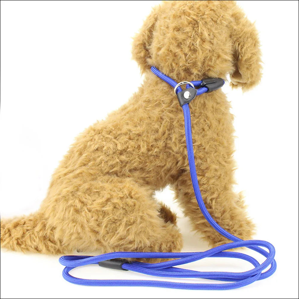 Chains Collar Leads: Pet Training Leash for Small Dogs, Traction Rope