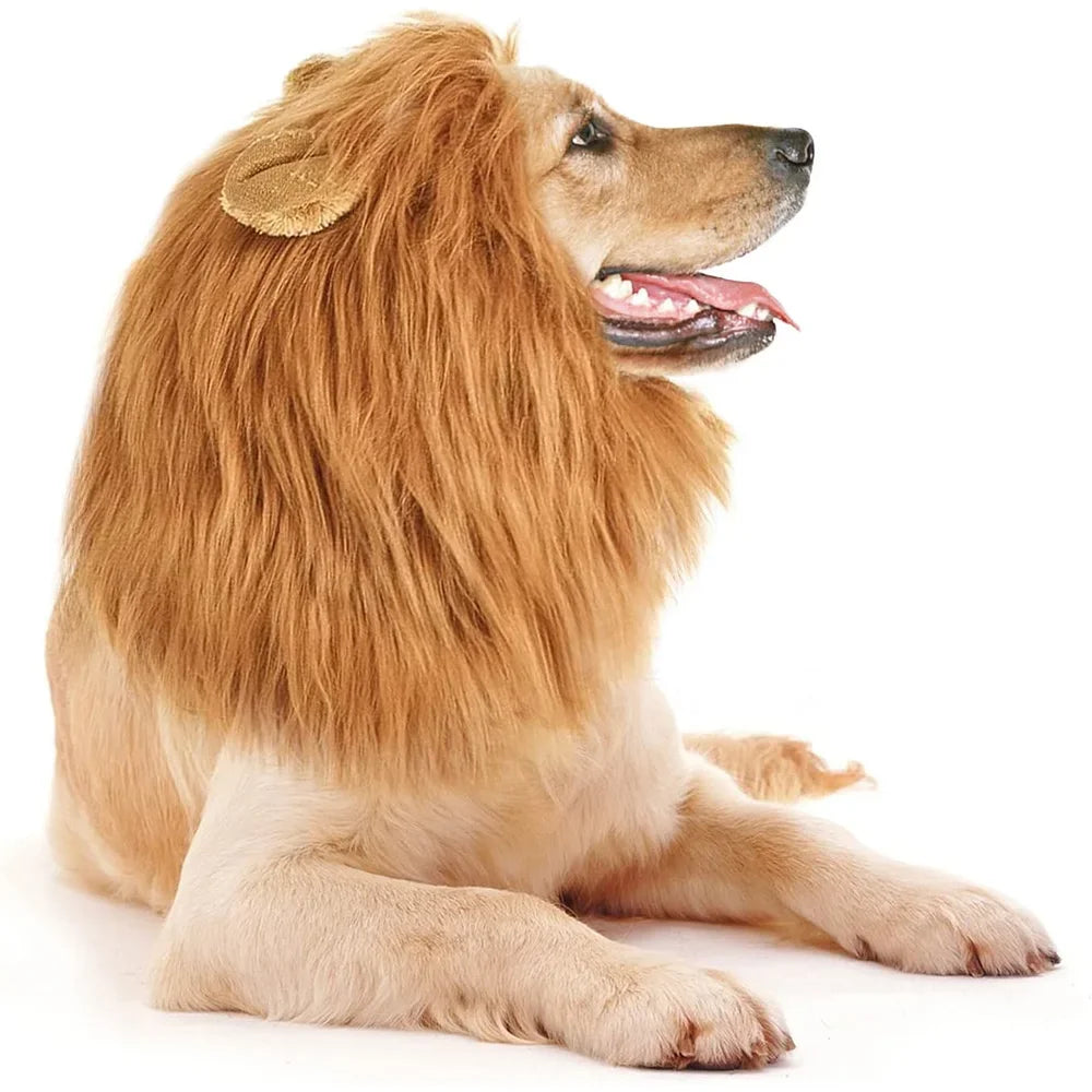 Lion Wig for Dog 