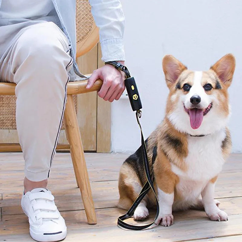 Retractable Leash: Easy-tie, anti-lost, hands-free, 6ft length, with handle.