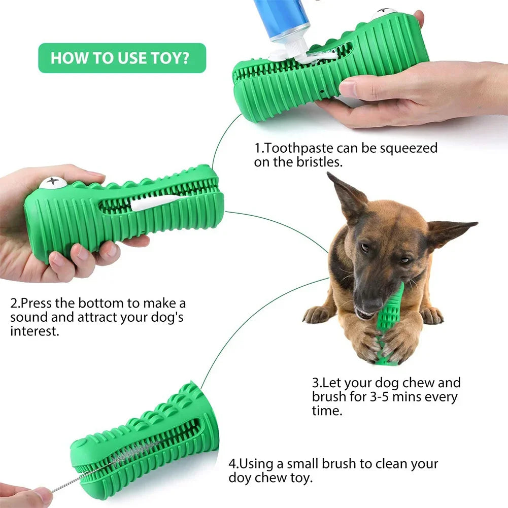 Indestructible Squeaky Toys: For aggressive chewers, teeth cleaning.