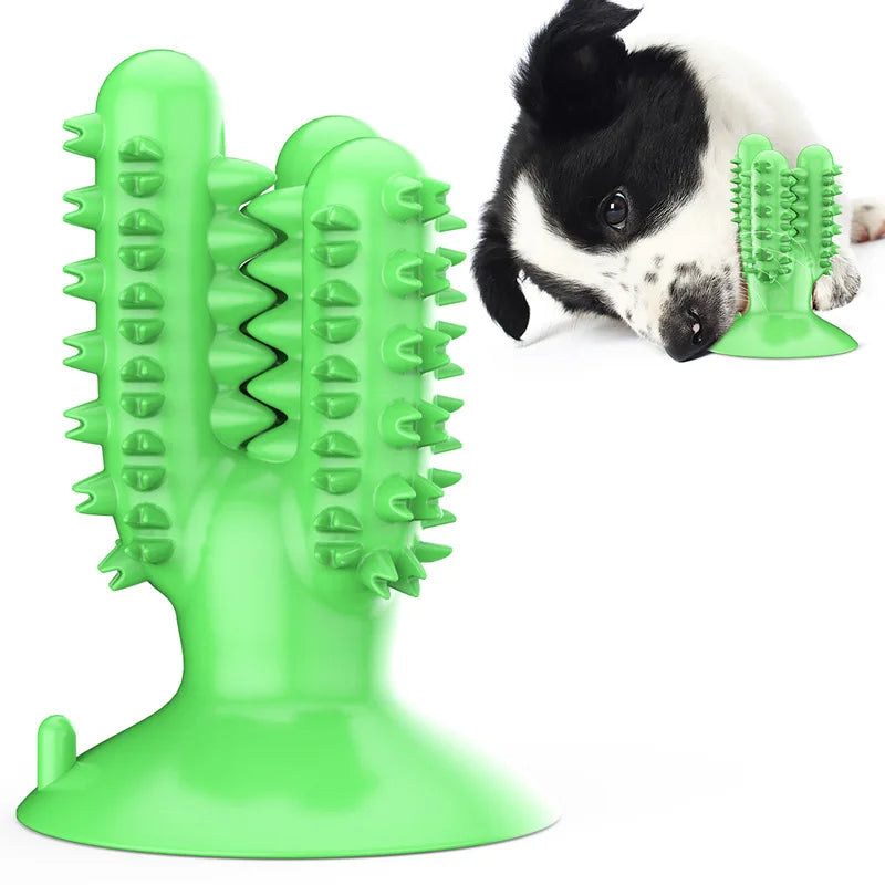 Chew Toys: Teeth cleaning, molar stick, indestructible, small-medium dogs.