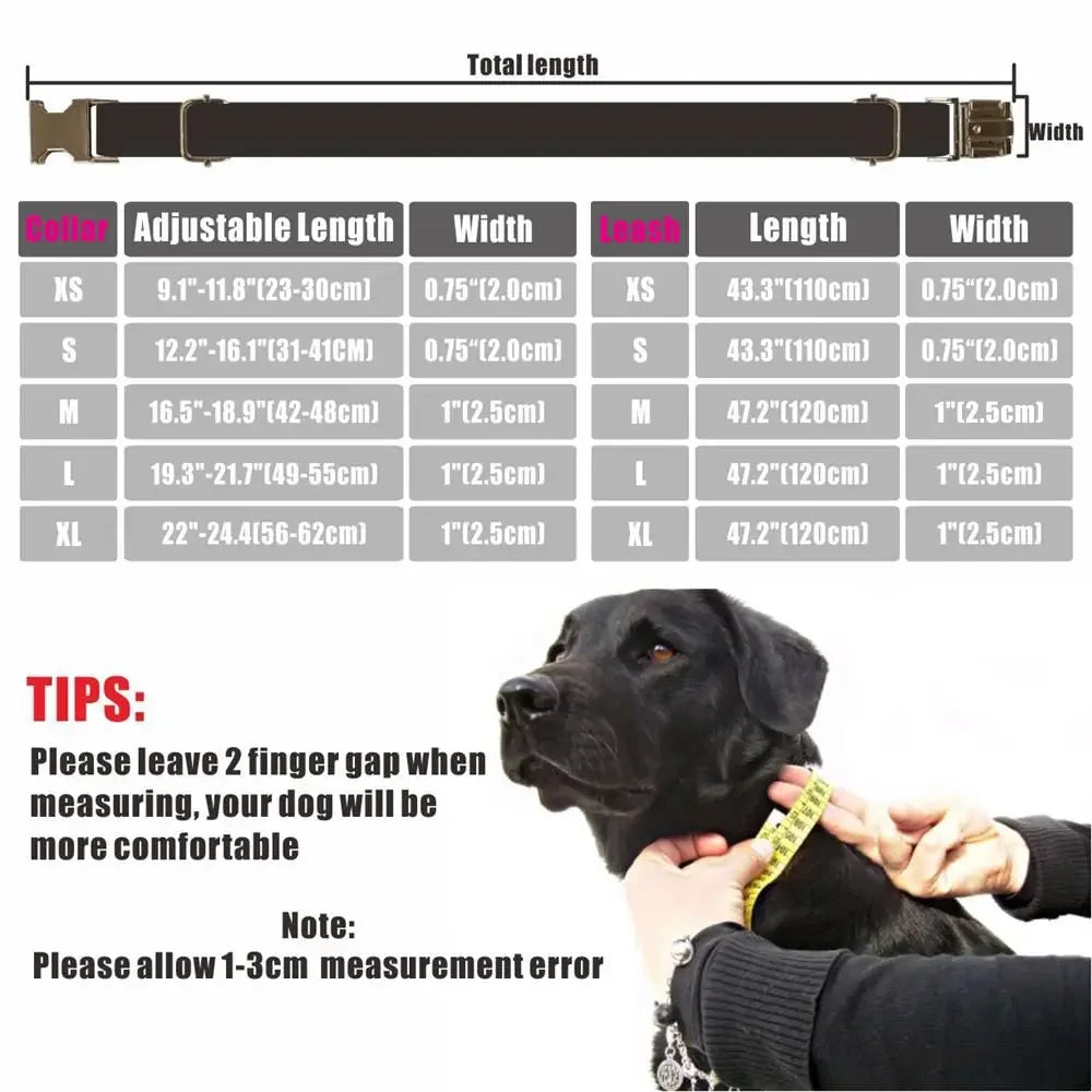 Luxury Dog Collar: High-quality, personalized set.