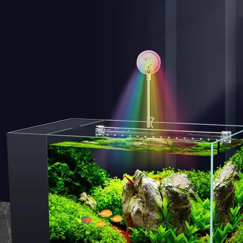 USB-Plug Aquarium Mini Lamp: LED lights for fish tanks.