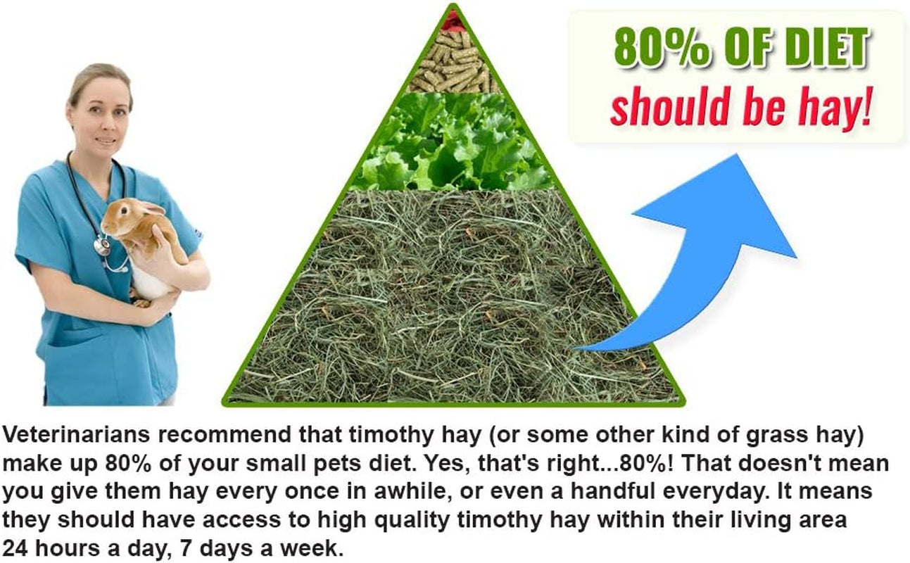 Super Soft 3rd Cutting Timothy Hay: Pet Food, 20 Lb