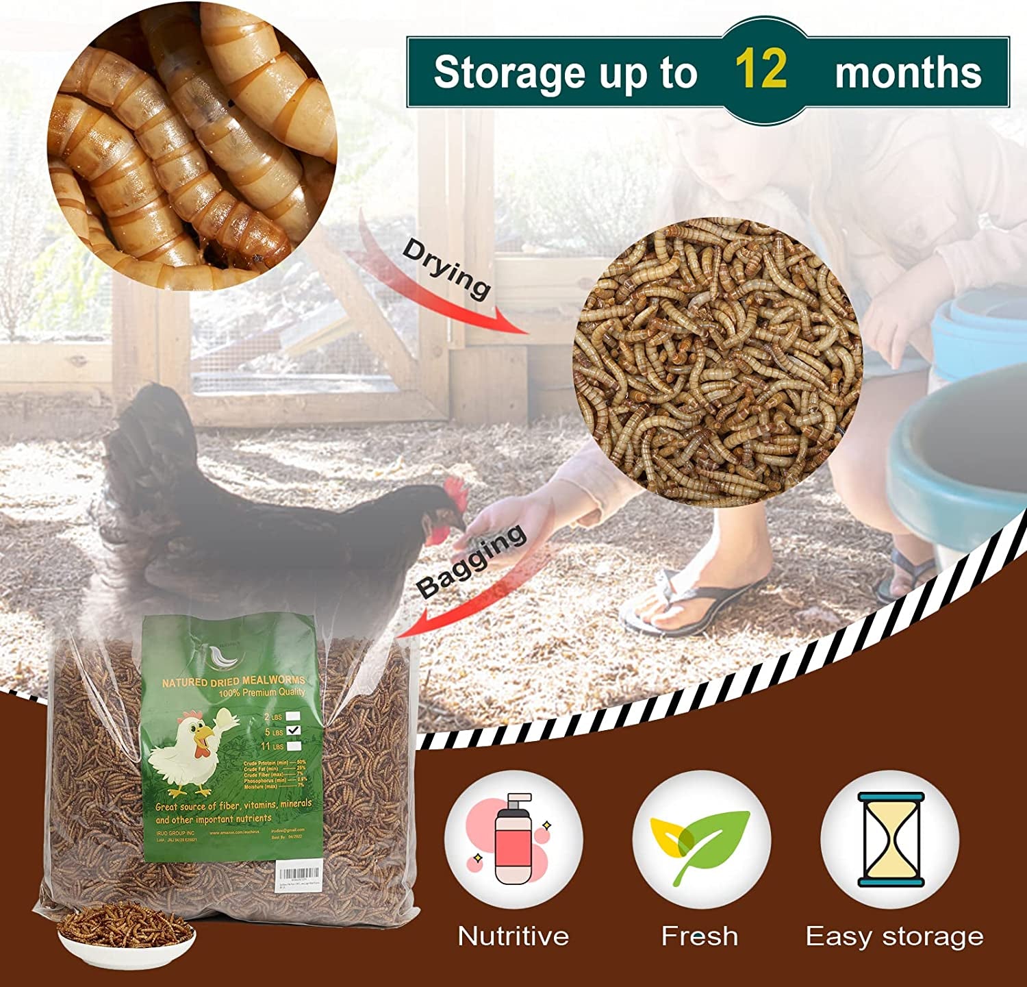 Non-GMO High-Protein Dried Mealworms: Chicken, Duck, Wild Bird, Fish, Reptile, and Amphibian Feed - 5 lb