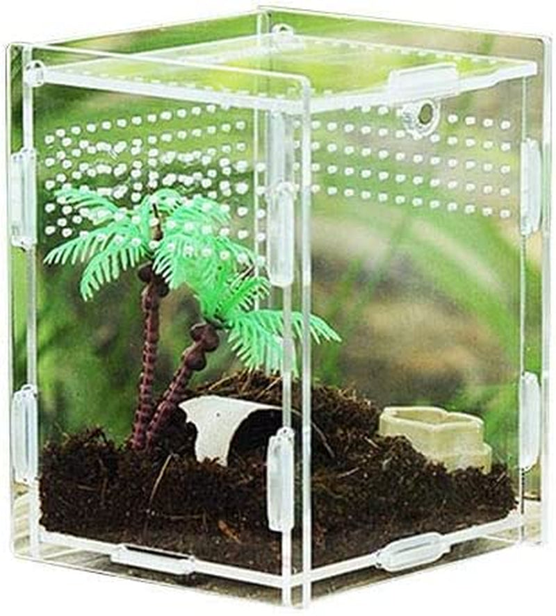 Reptile Breeding Box: Transparent Acrylic, 360° Climbing Terrarium